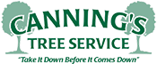 canning's-tree-services